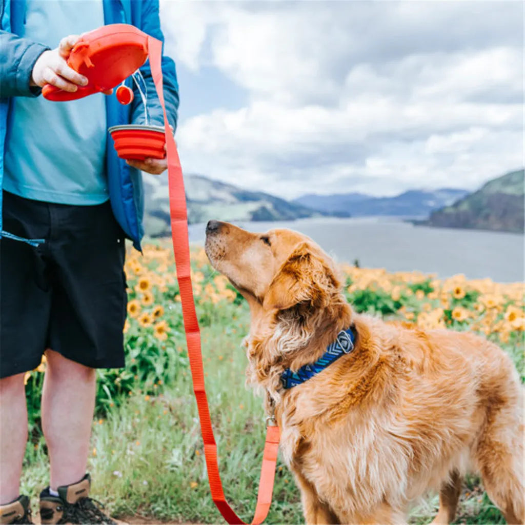✨Marvulur 3 in 1 Retractable Dog Leash 🌟