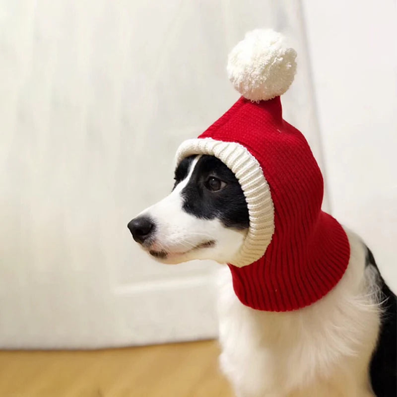 Elegante gorro de lana para mascotas