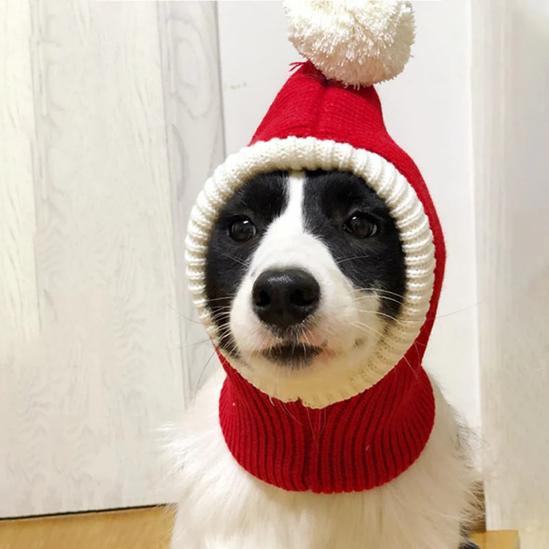 Elegante gorro de lana para mascotas