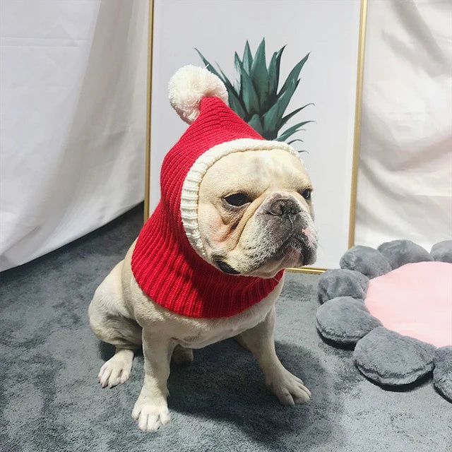 Elegante cappello di lana per animali domestici