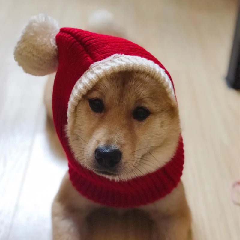 Elegante cappello di lana per animali domestici